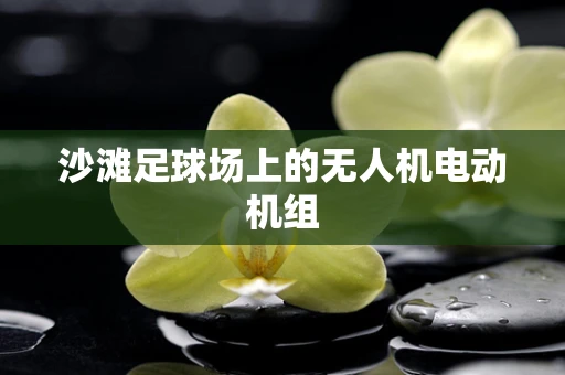 沙滩足球场上的无人机电动机组