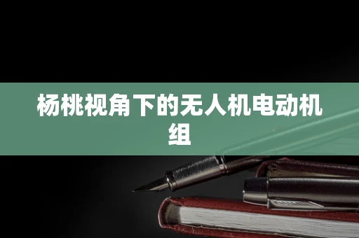 杨桃视角下的无人机电动机组