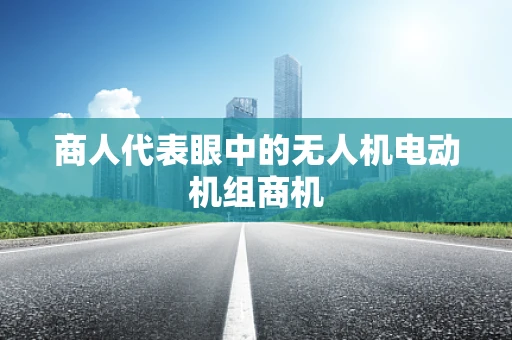 商人代表眼中的无人机电动机组商机