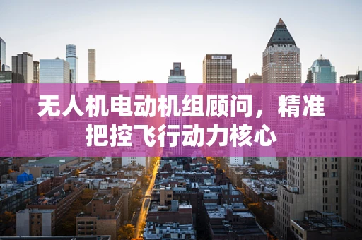 无人机电动机组顾问，精准把控飞行动力核心