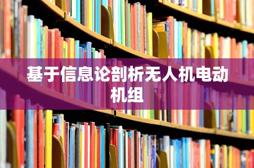 基于信息论剖析无人机电动机组