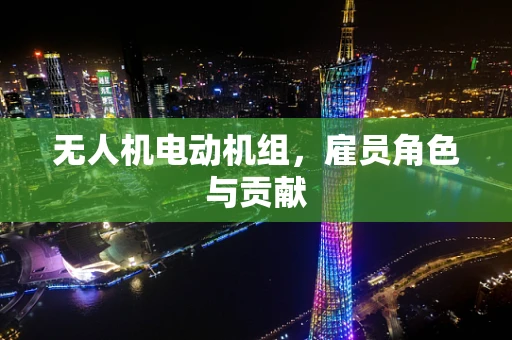无人机电动机组，雇员角色与贡献