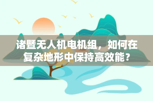 诸暨无人机电机组，如何在复杂地形中保持高效能？