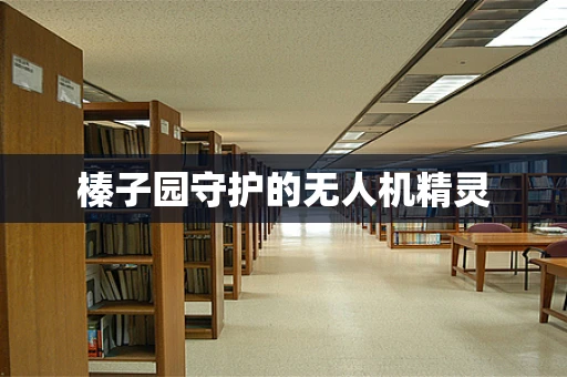 榛子园守护的无人机精灵
