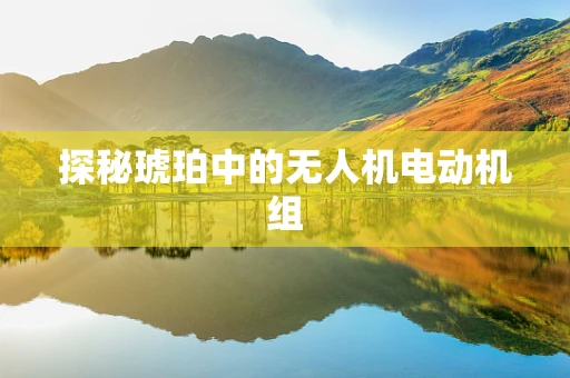 探秘琥珀中的无人机电动机组
