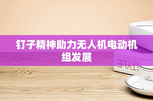 钉子精神助力无人机电动机组发展