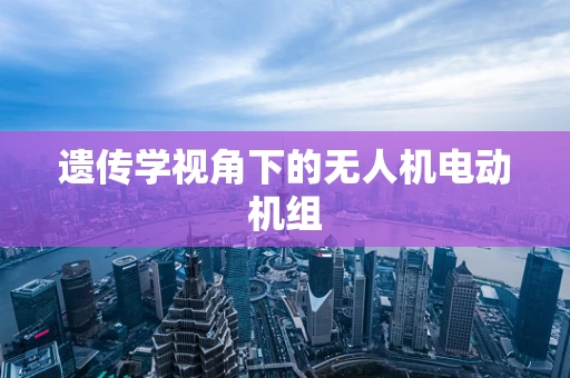 遗传学视角下的无人机电动机组