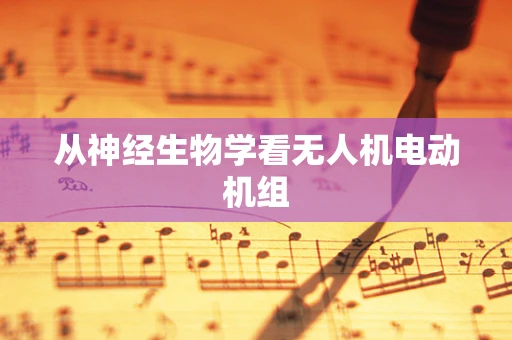 从神经生物学看无人机电动机组