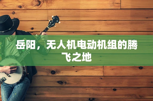 岳阳，无人机电动机组的腾飞之地