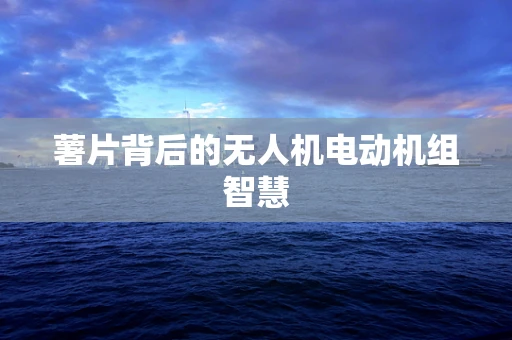 薯片背后的无人机电动机组智慧