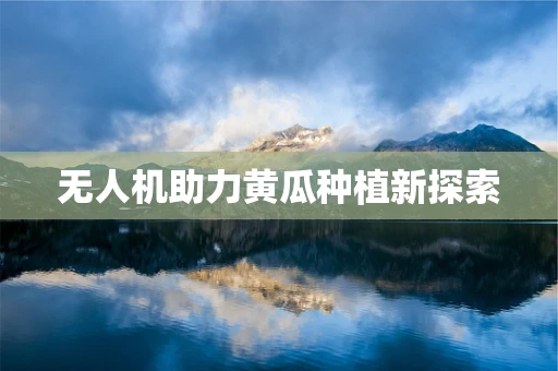 无人机助力黄瓜种植新探索