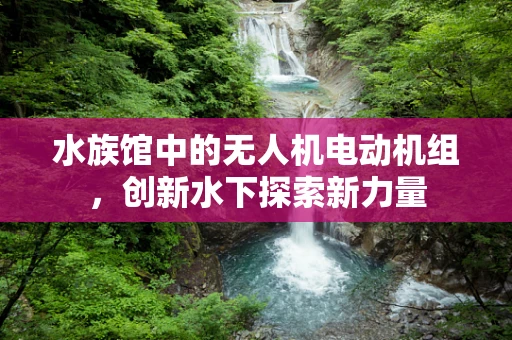 水族馆中的无人机电动机组，创新水下探索新力量