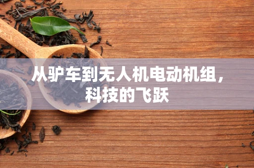从驴车到无人机电动机组，科技的飞跃