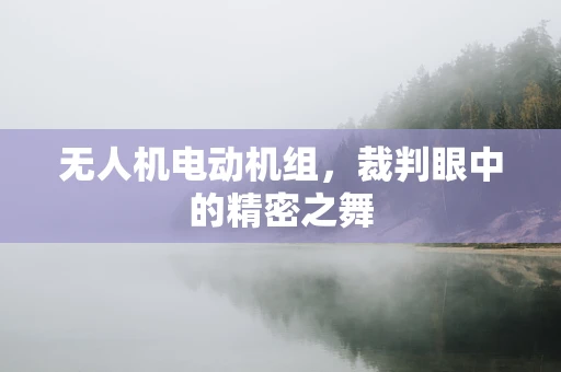 无人机电动机组，裁判眼中的精密之舞