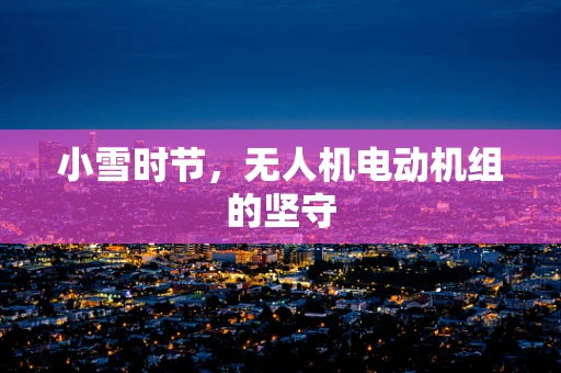 小雪时节，无人机电动机组的坚守