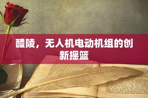 醴陵，无人机电动机组的创新摇篮