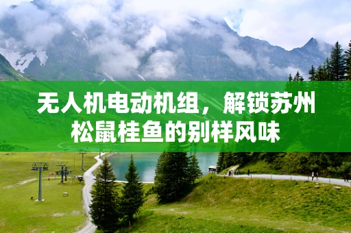 无人机电动机组，解锁苏州松鼠桂鱼的别样风味