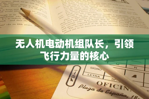 无人机电动机组队长，引领飞行力量的核心