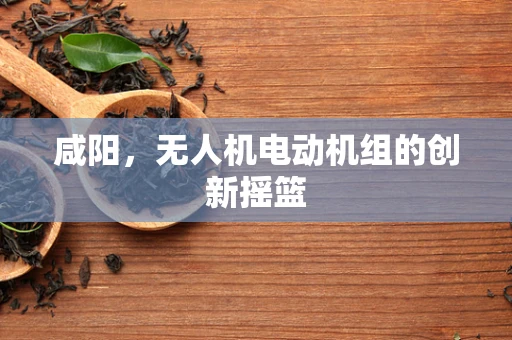 咸阳，无人机电动机组的创新摇篮