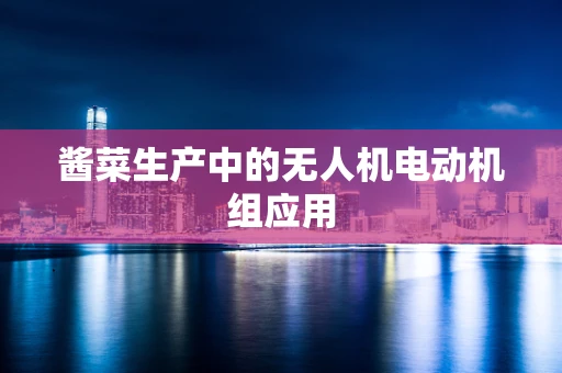 酱菜生产中的无人机电动机组应用