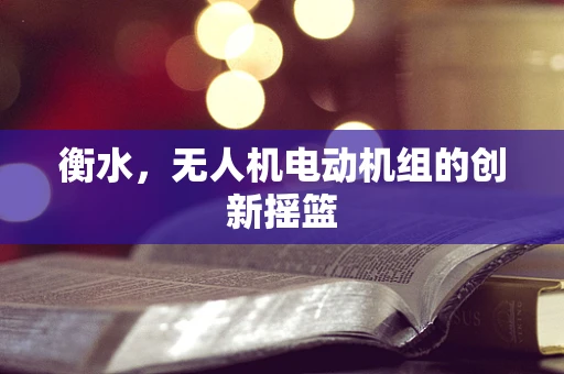 衡水，无人机电动机组的创新摇篮