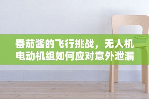 番茄酱的飞行挑战，无人机电动机组如何应对意外泄漏？