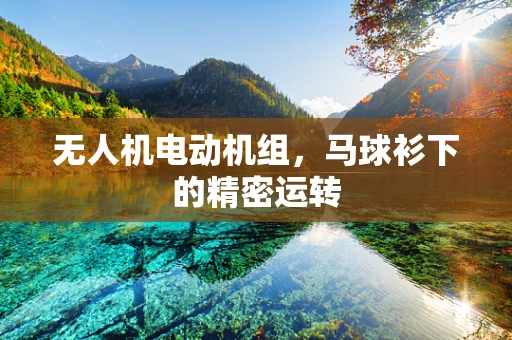 无人机电动机组，马球衫下的精密运转