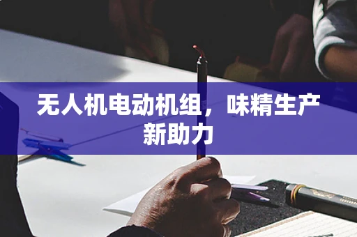 无人机电动机组，味精生产新助力