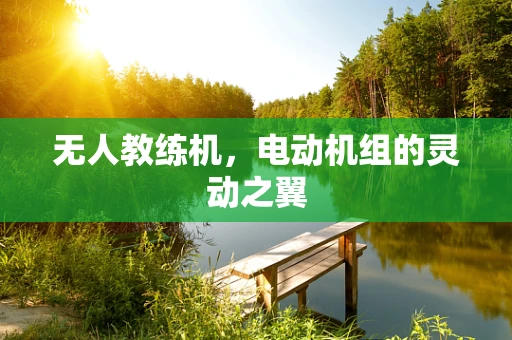 无人教练机，电动机组的灵动之翼