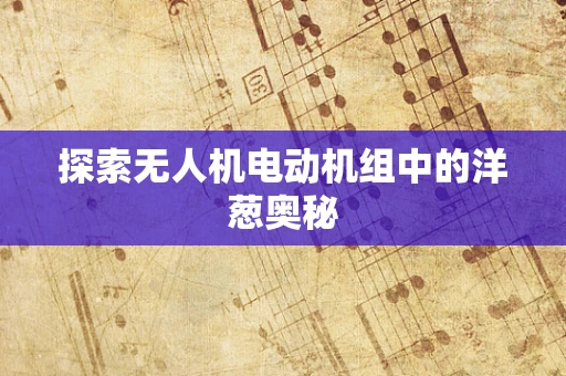 探索无人机电动机组中的洋葱奥秘