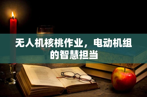 无人机核桃作业，电动机组的智慧担当