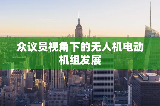 众议员视角下的无人机电动机组发展