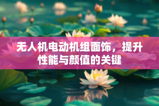 无人机电动机组面饰，提升性能与颜值的关键