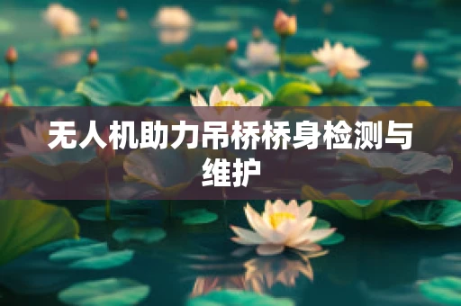 无人机助力吊桥桥身检测与维护