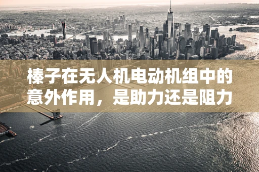榛子在无人机电动机组中的意外作用，是助力还是阻力？