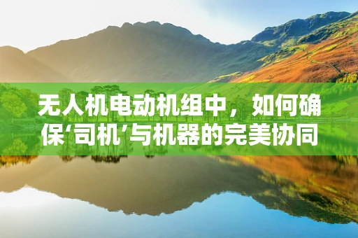 无人机电动机组中，如何确保‘司机’与机器的完美协同？
