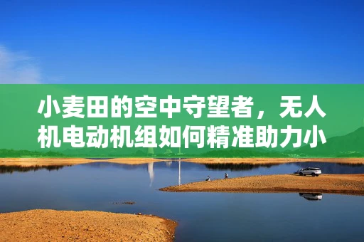 小麦田的空中守望者，无人机电动机组如何精准助力小麦种植监测？