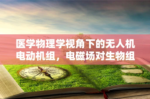 医学物理学视角下的无人机电动机组，电磁场对生物组织的影响
