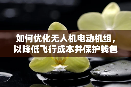 如何优化无人机电动机组，以降低飞行成本并保护钱包？