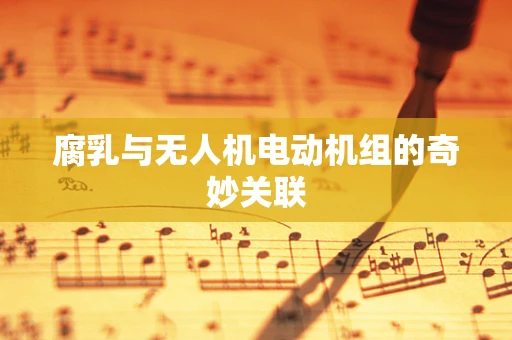 腐乳与无人机电动机组的奇妙关联