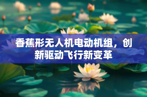 香蕉形无人机电动机组，创新驱动飞行新变革