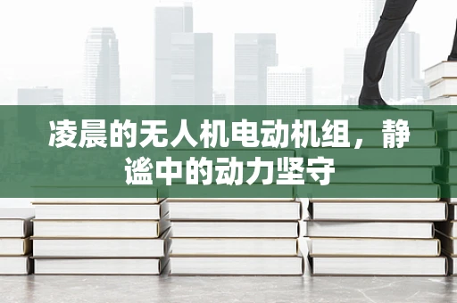 凌晨的无人机电动机组，静谧中的动力坚守