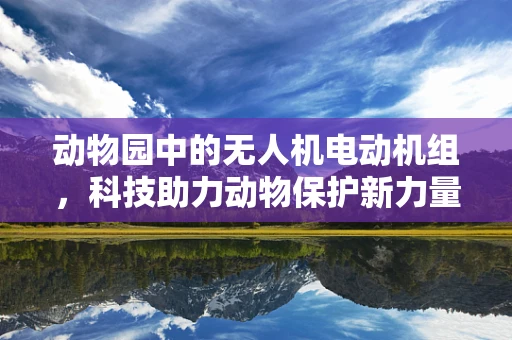动物园中的无人机电动机组，科技助力动物保护新力量
