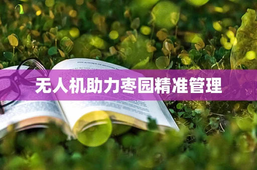 无人机助力枣园精准管理