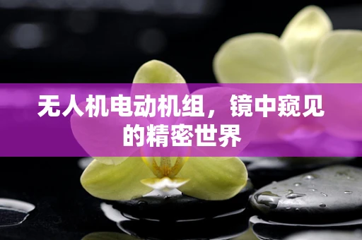 无人机电动机组，镜中窥见的精密世界