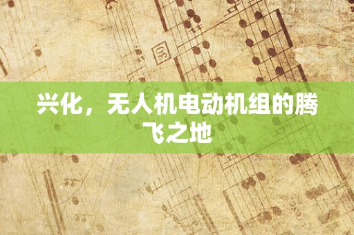 兴化，无人机电动机组的腾飞之地