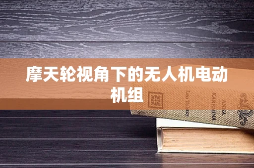 摩天轮视角下的无人机电动机组