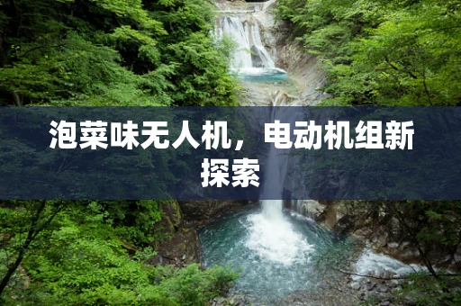 泡菜味无人机，电动机组新探索