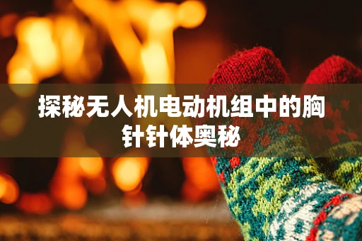 探秘无人机电动机组中的胸针针体奥秘