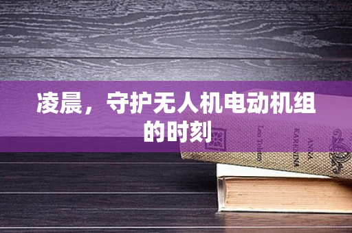 凌晨，守护无人机电动机组的时刻
